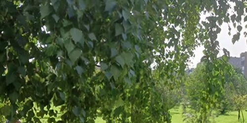 Комната пос. Металлострой, улица Богайчука, 24