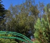 Продать Дачи, коттеджи, загородные дома Мшинская садоводческий массив, Металлург СНТ   