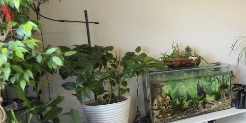 2-комн квартира Новоизмайловский проспект, 4