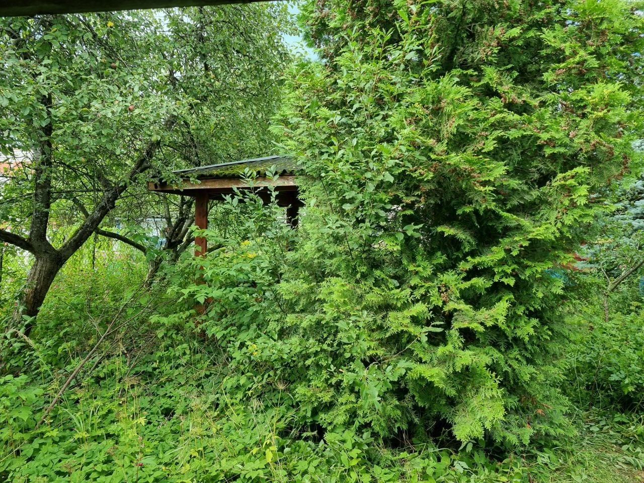 Продажа дома Бетонщик СНТ,  д. 39