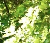 Продать Квартиры вторичка пос. Парголово, Кооперативная улица, 8   