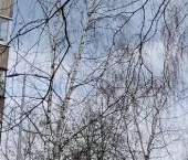 Продать Квартиры вторичка Петергоф, улица Шахматова, 4к1   