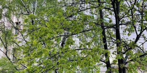 3-комн квартира Овчинниковская набережная, 22/24С2