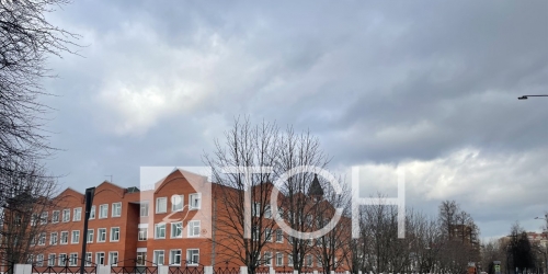 1-комн квартира Щелково, Центральная ул, 17