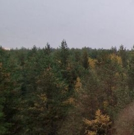 Аренда 2-комн квартиры на вторичном рынке Апрелевка, улица Дубки, 17