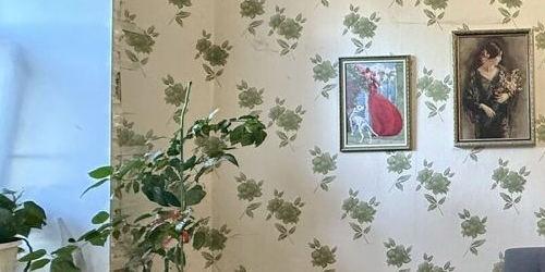 3-комн квартира Пушкин, улица Радищева, 25/14