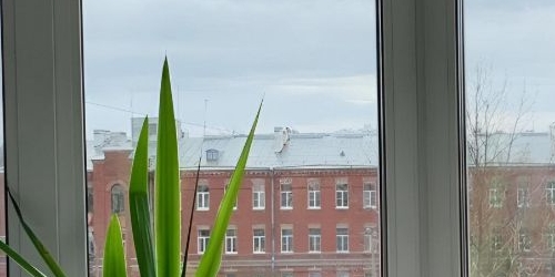 1-комн квартира Пушкин, Прямой переулок, 3