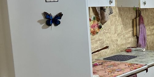 Комната переулок Климов, 5