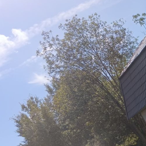 Коттедж/дом Посадников остров садоводческий массив, Сигнал СНТ, улица Роз, 66