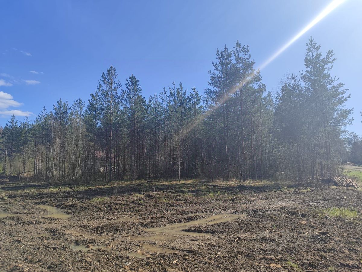 Продажа земли Дружная Горка городской поселок, улица Пограничная