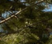 Продать Дачи, коттеджи, загородные дома пос. Ленинское, улица Солнечная Поляна, 8   