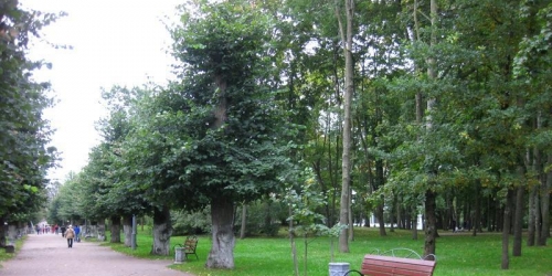 Комната Выборг, проспект Ленина,  д. 18