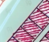 Продать Земельные участки, земля Новое Токсово СНТ   