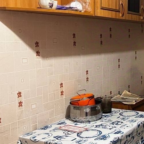 2-комн квартира д. Калгановка, 3