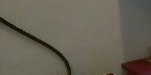 Комната Таврическая улица, 45