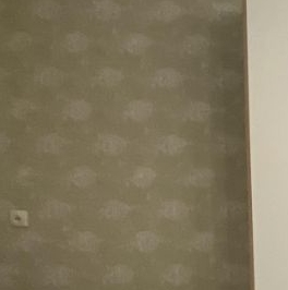 Аренда 1-комн квартиры на вторичном рынке проспект Науки, 44