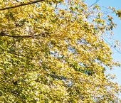 Продать Квартиры вторичка улица Гиляровского, 62   