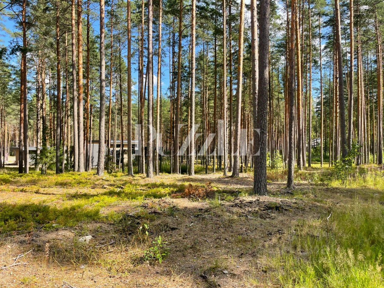 Продажа земли д. Варшко, улица Сосновая, 3