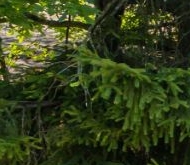 Продажа коттеджи и дома пос. Александровская, улица Зеленая, 10