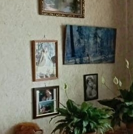 Продажа 1-комн квартиры на вторичном рынке улица Молодцова, 31К2 Продажа 1-комн квартиры на вторичном рынке улица Молодцова, 31К2