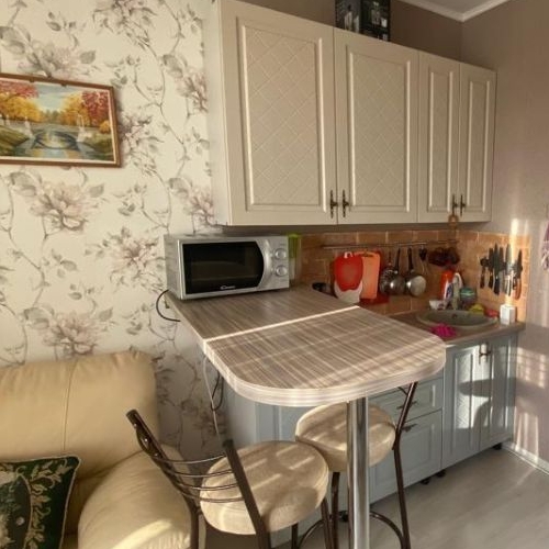 Студия пос. Янино-1, улица Заневская, 11