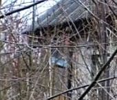 Продать Дачи, коттеджи, загородные дома Пупышево садоводческий массив, Восход СНТ, аллея 3-я   