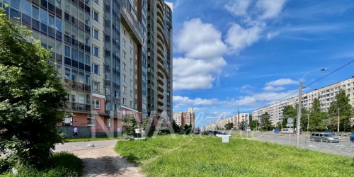 Торговое помещение Просвещения пр-кт,  д. 99