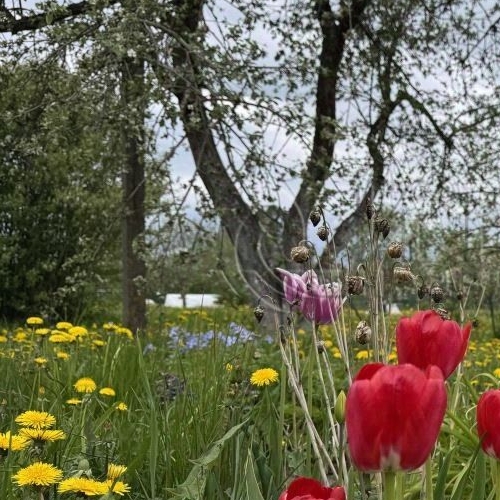 Коттедж/дом пос. При железнодорожной станции Войбокало, улица Привокзальная,  д. 14