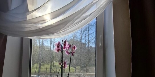 1-комн квартира улица Савушкина,  д. 59