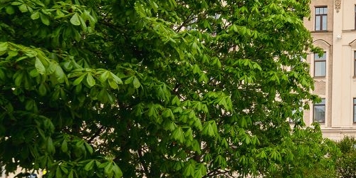 2-комн квартира улица Блохина, 3/1