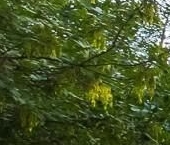 Продать Квартиры вторичка 1-й Тверской-Ямской переулок, 11   