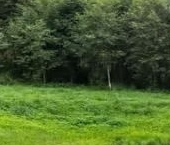 Продать Дачи, коттеджи, загородные дома Мечта кп, 126   