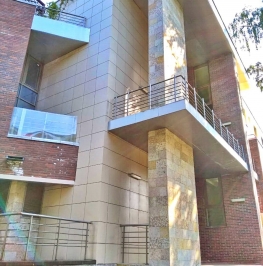 Продажа 1-комн квартиры на вторичном рынке Павловск г., Лебединая ул. , д. 1 Продажа 1-комн квартиры на вторичном рынке Павловск г., Лебединая ул. , д. 1