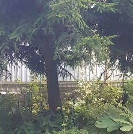 Продажа земли Лахта тер., улица Приморская, 17 Продажа земли Лахта тер., улица Приморская, 17