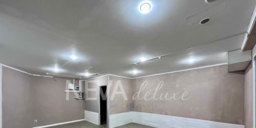 Торговое помещение Просвещения пр-кт,  д. 99