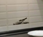 Продать Квартиры вторичка Красногорск, бульвар Красногорский, 24   