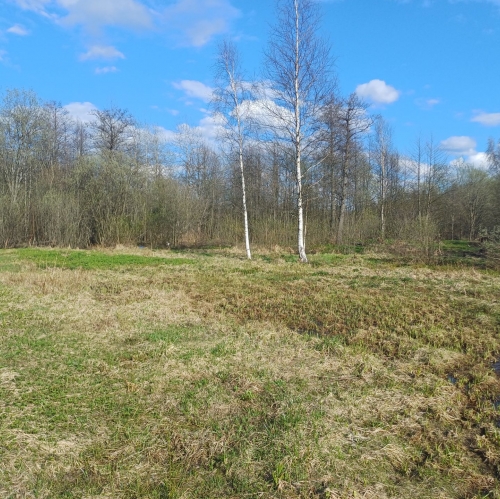 Земельный участок садовое товарищество Яхонт, садовое товарищество Яхонт