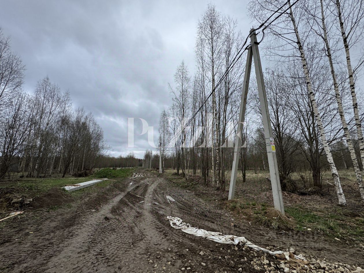 Продажа земли д. Лопухинка, 4