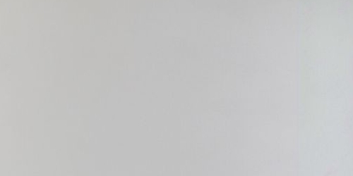 Студия Заневский проспект, 42