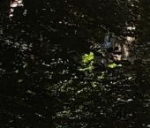 Продать Квартиры вторичка улица Трофимова, 6А   