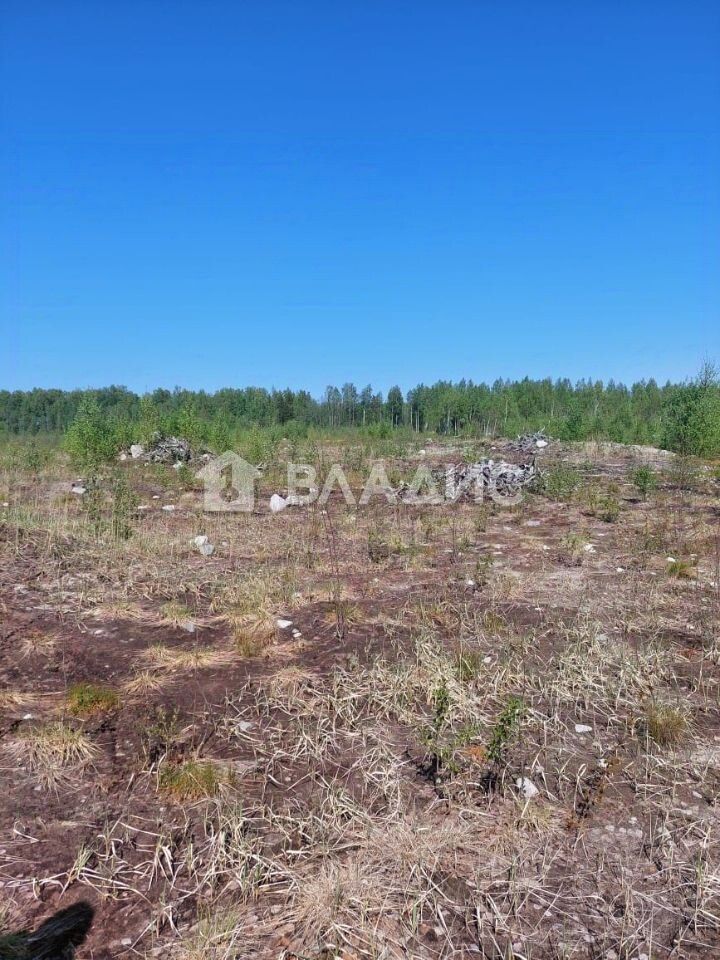 Продажа земли А-120 Санкт-Петербургское южное полукольцо, 146-й км