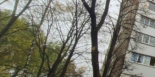 2-комн квартира Косинская улица, 14К2