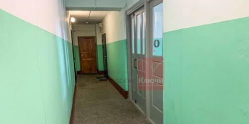 2-комн квартира Энгельса пр-кт,  д. 69