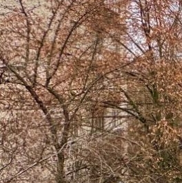 Продажа 3-комн квартиры на вторичном рынке Ланское шоссе, 8 Продажа 3-комн квартиры на вторичном рынке Ланское шоссе, 8