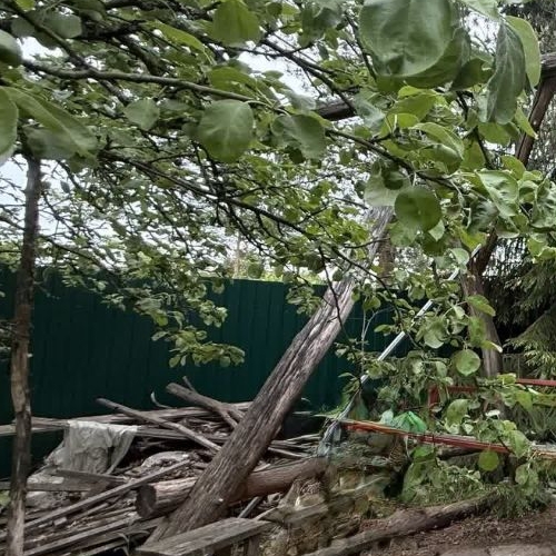 Коттедж/дом Оснички СНТ, улица 9-я лесная