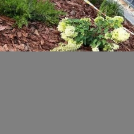 Продажа 1-комн квартиры на вторичном рынке улица Демьяна Бедного,  д. 22