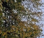 Продать Квартиры вторичка Ивантеевская улица, 9   