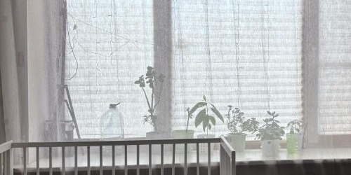 1-комн квартира Кондратьевский проспект, 83К2