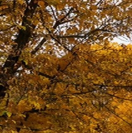 Продажа 1-комн квартиры на вторичном рынке Байкальская улица, 30К3 Продажа 1-комн квартиры на вторичном рынке Байкальская улица, 30К3