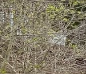 Продать Дачи, коттеджи, загородные дома пос. Песочный, Песочный СНТ   